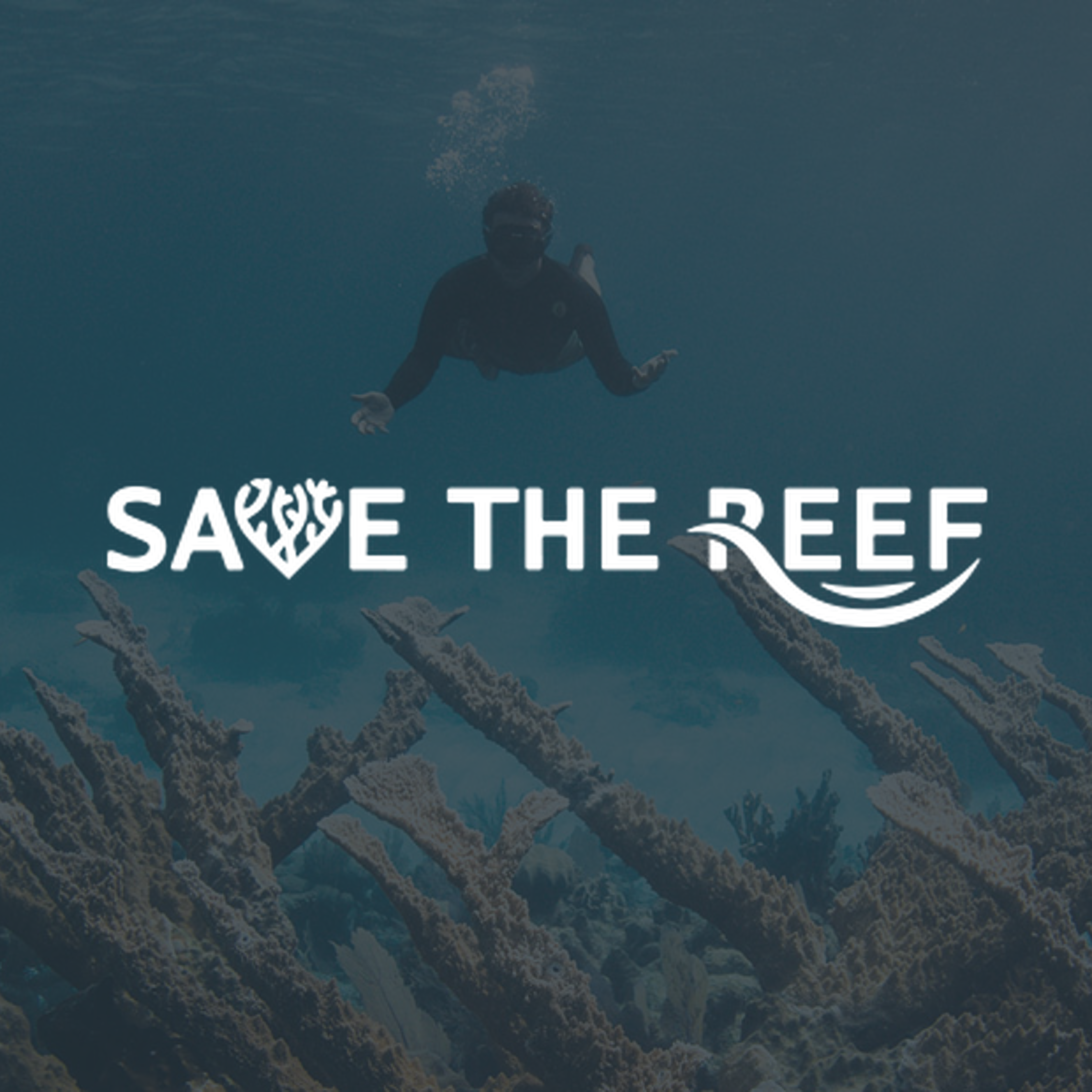 Save The Reef